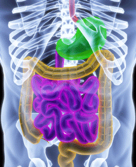 enfermedades digestivas cancun